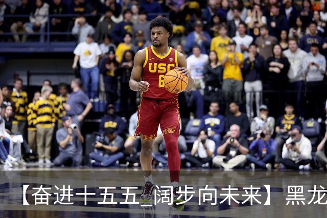 【奋进十五五 阔步向未来】黑龙江农机产业正加速迈向高端化智能化绿色化